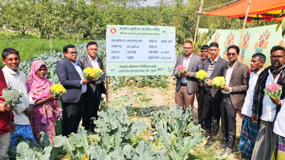 রঙিন ফুলকপিতে স্বপ্ন বুনছেন সালেহা
