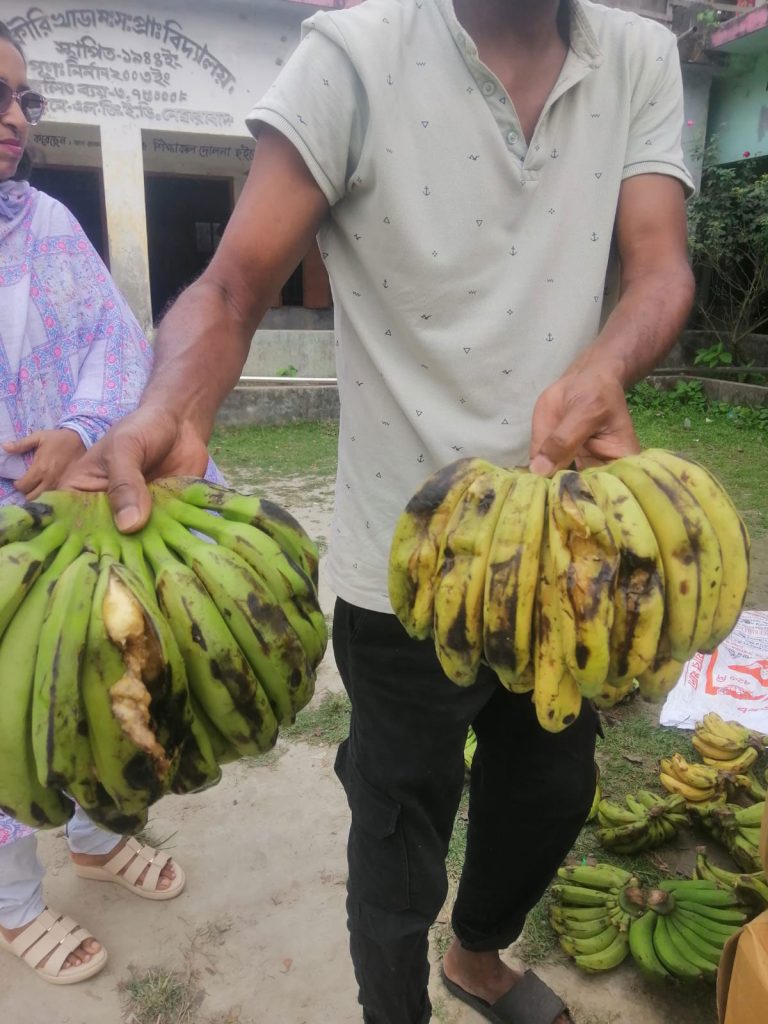 নেছারাবাদে সরকারি প্রাথমিক বিদ্যালয়ের স্কুল ফিডিংয়ে অনিয়মের অভিযোগ