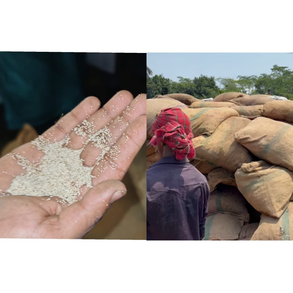 নিষিদ্ধ পণ্যের সন্দেহে বাউফলে বিপুল পরিমান বস্তাভর্তি পণ্য জব্দ