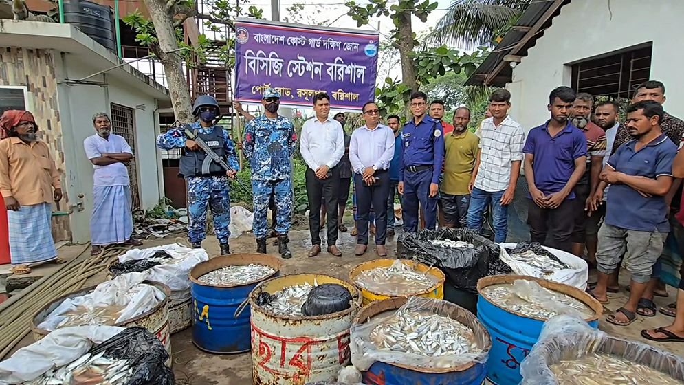 নলছিটিতে ১৭০০ কেজি জাটকা জব্দ