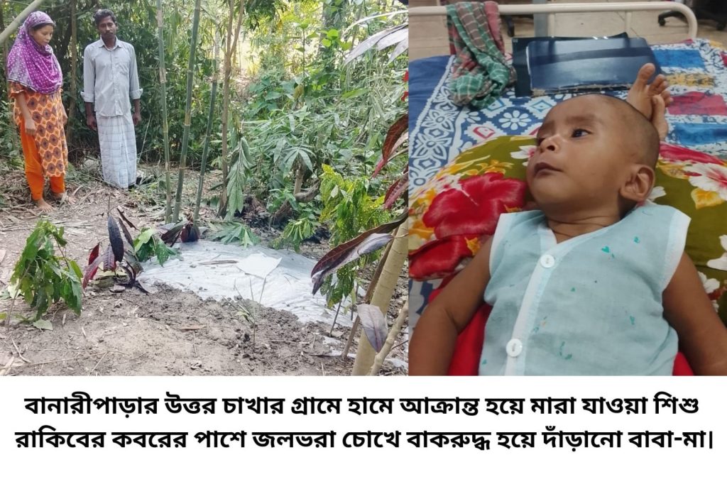 অঙ্কুরেই ঝড়ে গেল ফুলের মত শিশু রাকিব : বাবা-মায়ের স্বপ্ন অধরাই রয়ে গেল ! 