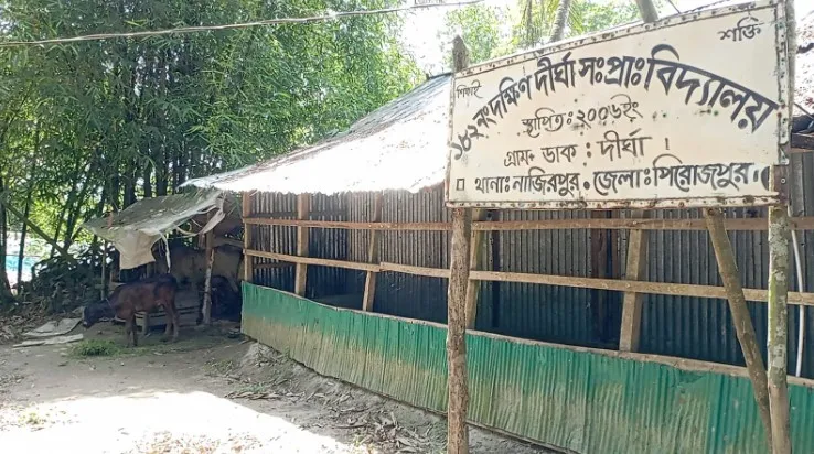 নাজিরপুরে ৫ শিক্ষার্থীর জন্য ৪ শিক্ষক, তবুও শ্রেণিকক্ষে পাঠদান বন্ধ
