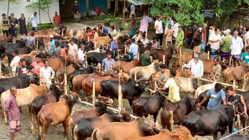 নেছারাবাদে এক নেতার ‘কবজায়’ ৮ হাটের ইজারা