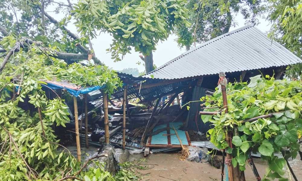 নলছিটিতে হঠাৎ দমকা হাওয়া, টিনশেড ঘর ধসে প্রাণ গেল শিশুর