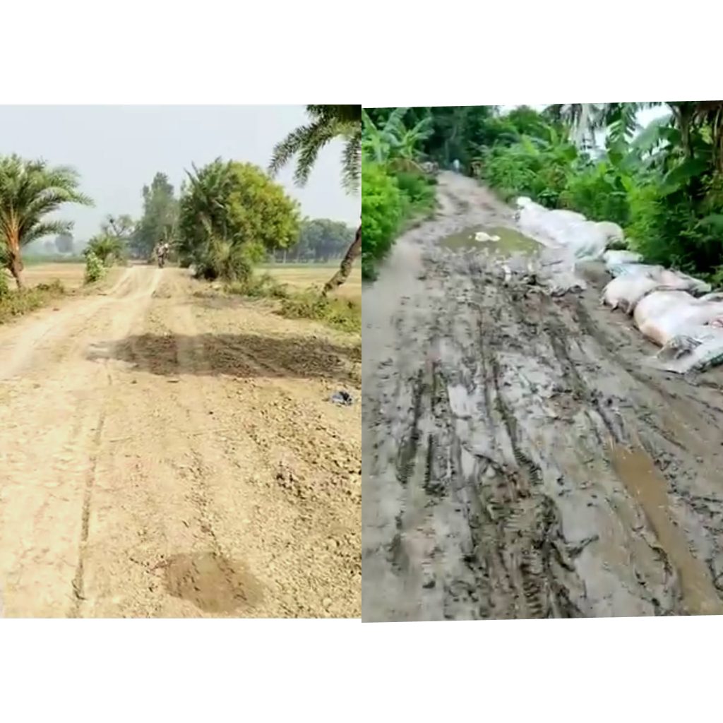 উজিরপুরের সাতলা – শিবপুর সড়কের বেহাল দশা, ব্যবহারকারীদের দুর্ভোগ