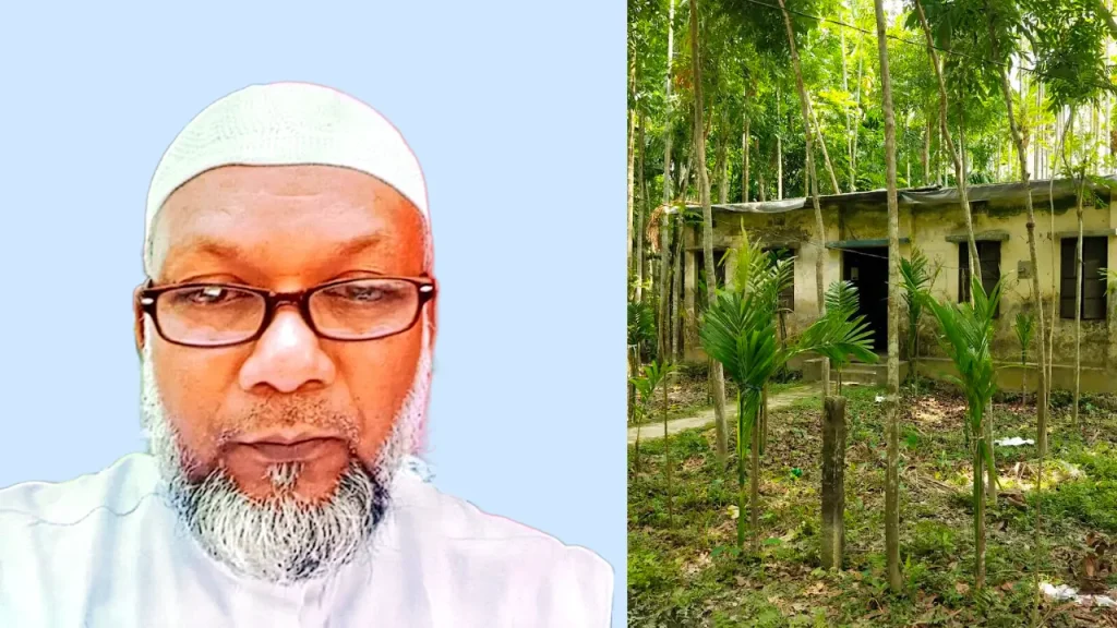 নেছারাবাদে জমি দখল করে গাছ লাগানোর অভিযোগ জামায়াত নেতার বিরুদ্ধে