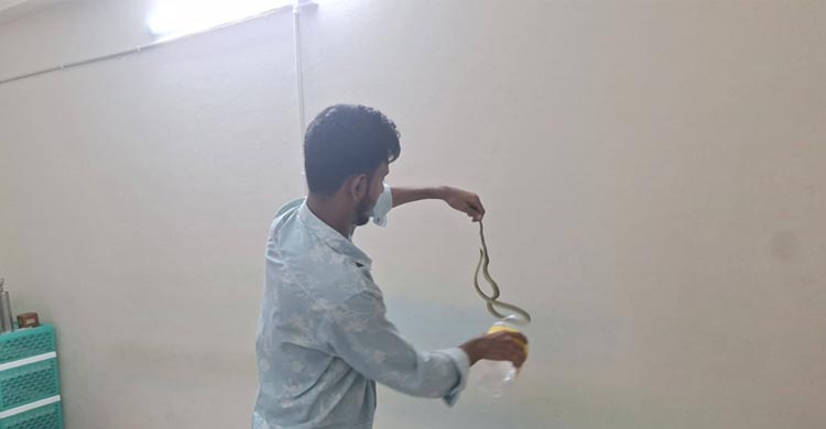 বরিশালে এসির ভেতর থেকে বেরিয়ে এলো কালনাগিনী