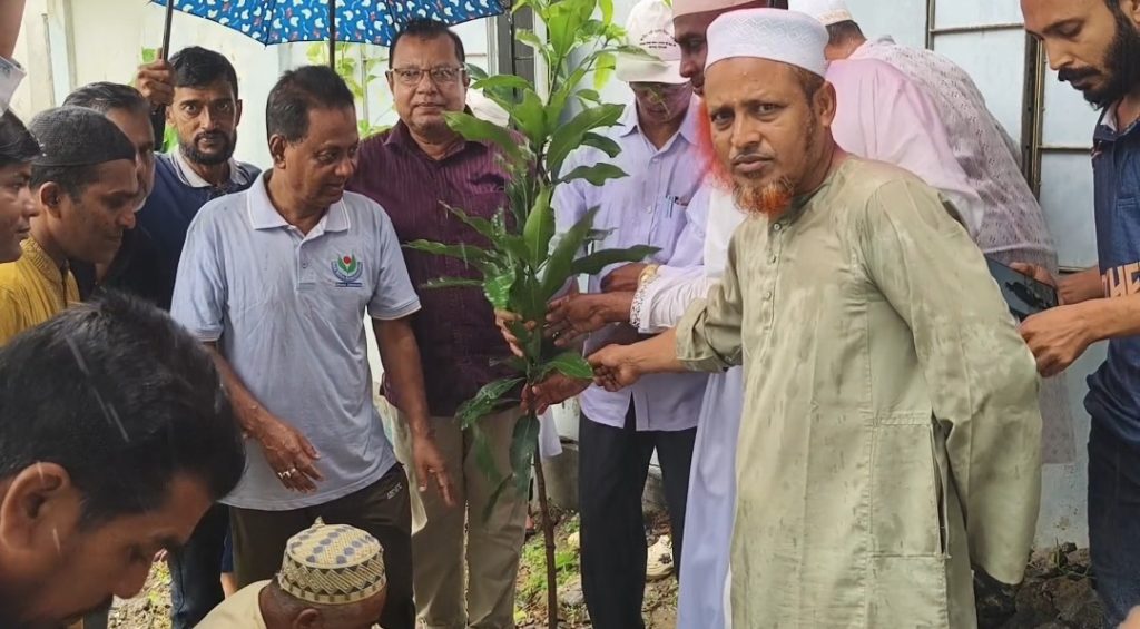 কলাপাড়ায় ওলামা দলের উদ্যোগে বৃক্ষরোপণ কর্মসূচি উদ্বোধন করলেন এমপি মোশাররফ
