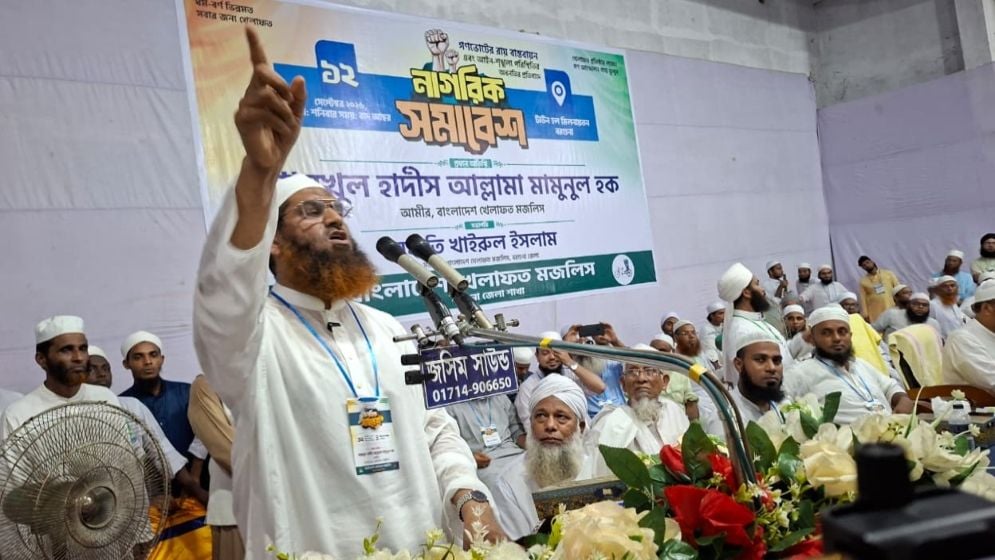 বরগুনায় রাষ্ট্রপতির সমালোচনায় মামুনুল হক