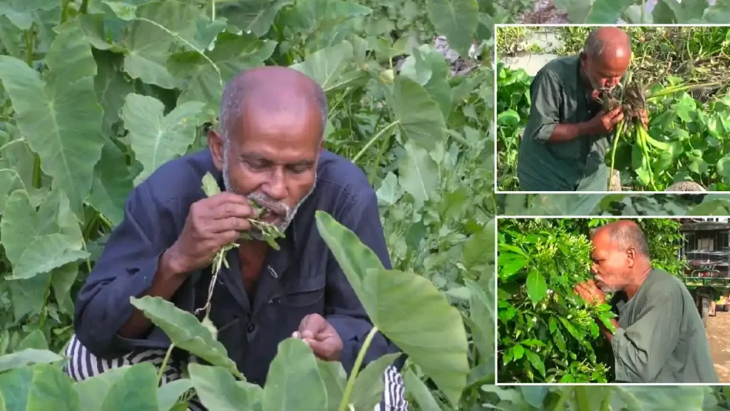 নেই ঘর-সংসার নেছারাবাদের অমলের, ২৬ বছর ধরে খাচ্ছেন ঘাস-লতাপাতা