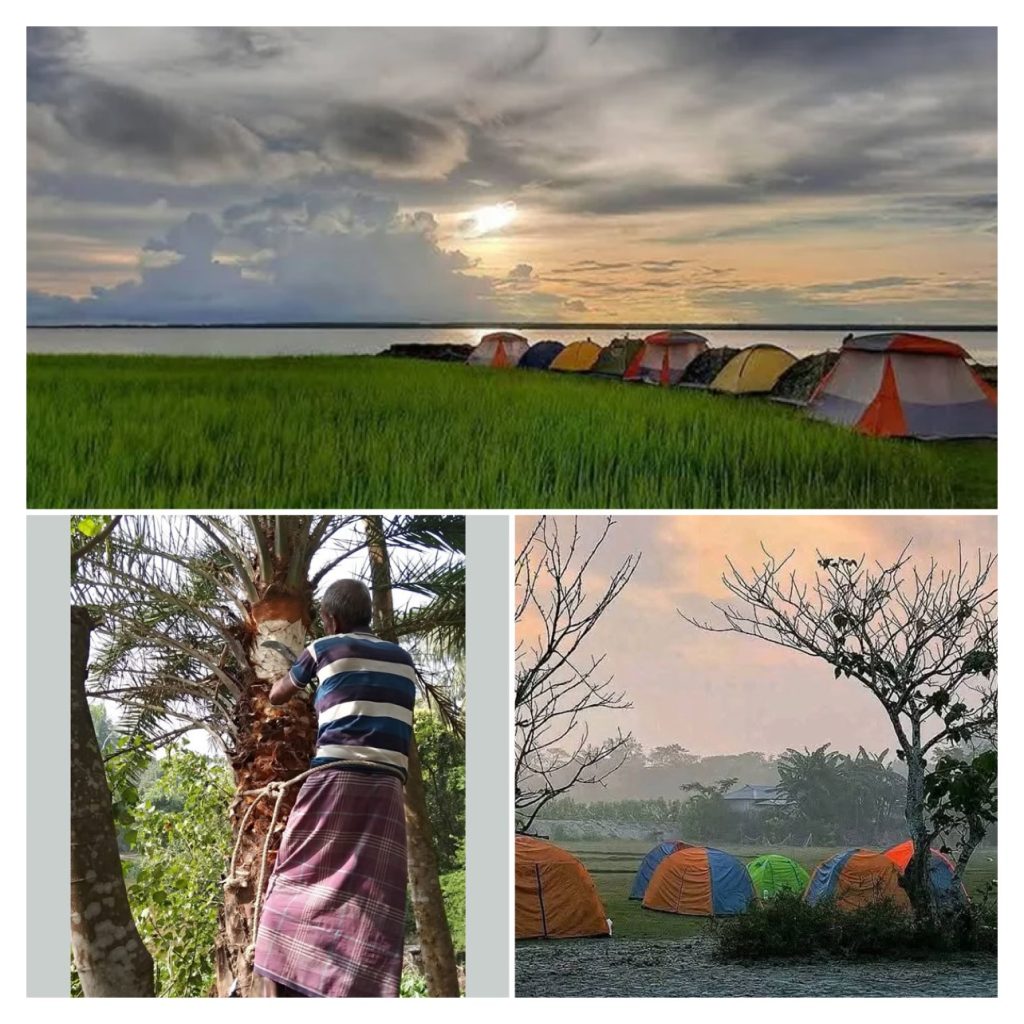 নদী-চর-সবুজের সঙ্গে কুয়াশার মিতালি, ভ্রমণপিপাসুদের ডাকছে মনপুরা